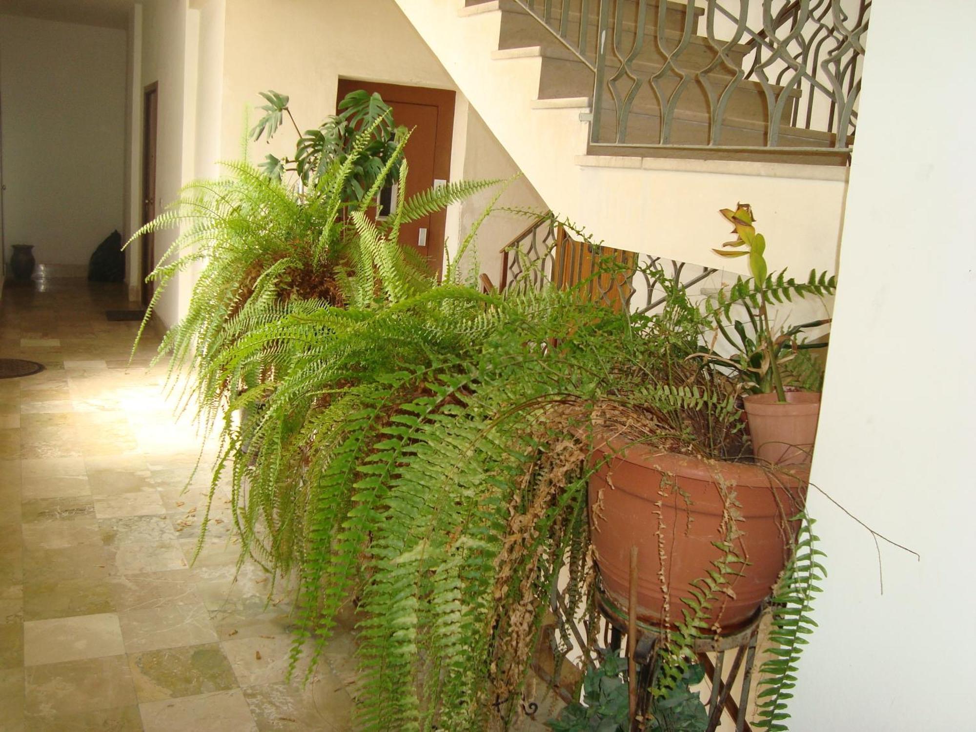 Bed and Breakfast Antonio'S House Agrigento Zewnętrze zdjęcie